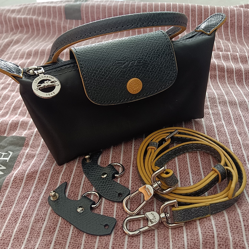 Longchamp Mini Dumpling Bag